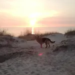 Viesnage Palangoje Pas J&i Hébergement de vacances Palanga