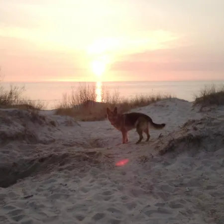 Viesnage Palangoje Pas J&i 別荘 パランガ