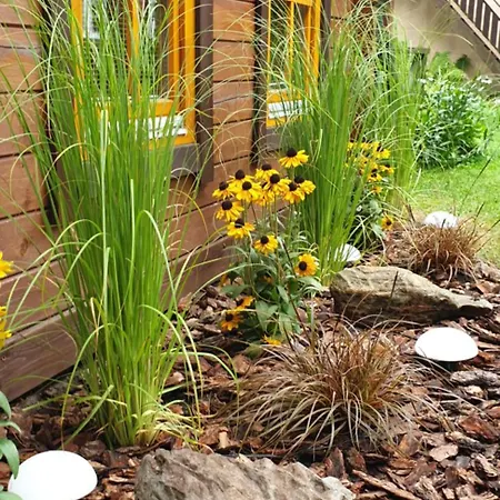 펜션 Viesnage Palangoje Pas J&i 팔랑가