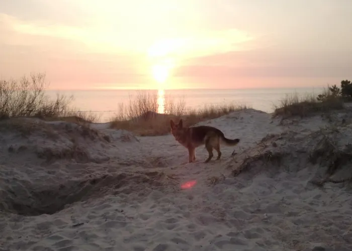 Viesnage Palangoje Pas J&i 펜션 팔랑가