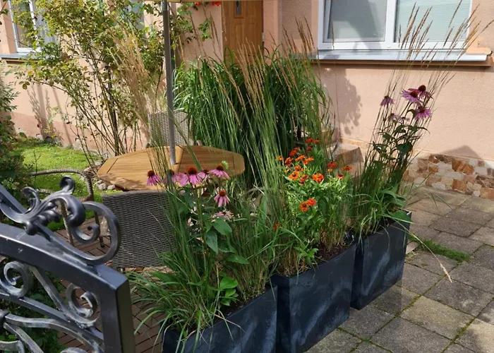 Viesnage Palangoje Pas J&i * 팔랑가